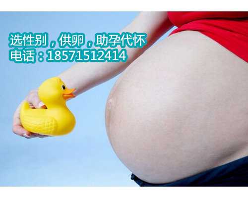 宁波供卵生男孩,杭州育儿假期是必须的吗