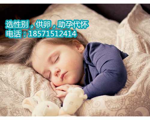 宁波供卵价格表,上海集爱医院可以供卵三代试管生男孩吗