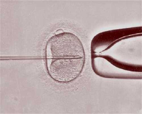 婚后7年不孕，泰国试管技术成就美满家庭，泰国试管不成功案例