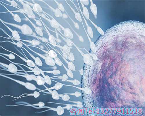 内蒙代生包儿子:带给你生育的新希望